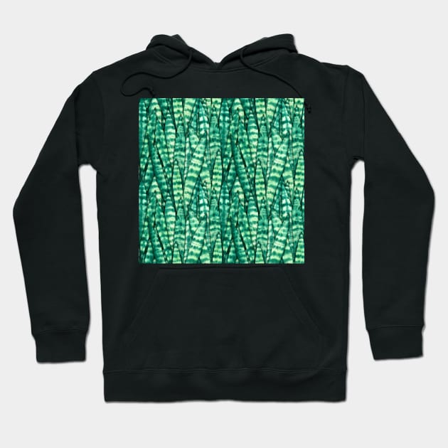 Sansevieria Trifasciata Pattern Hoodie by illucalliart